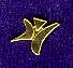 fys.jpg (1906 bytes)