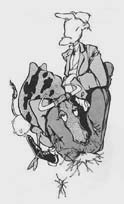gen7.jpg (6220 bytes)