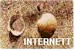 On the www