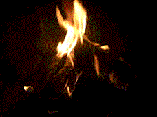 bal2.gif (16441 bytes)