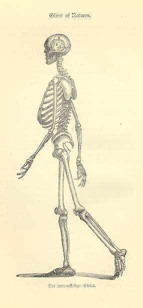 hist4.jpg (15291 bytes)