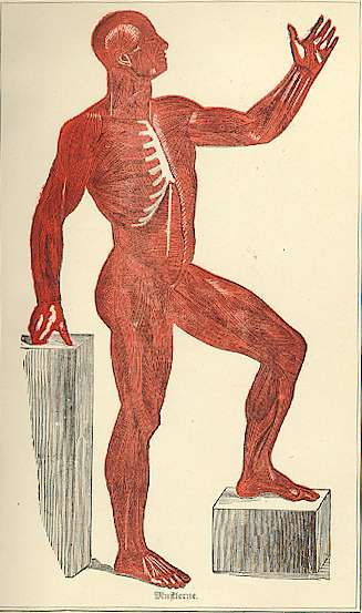 hist5.jpg (31379 bytes)