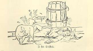 hist9.jpg (10637 bytes)