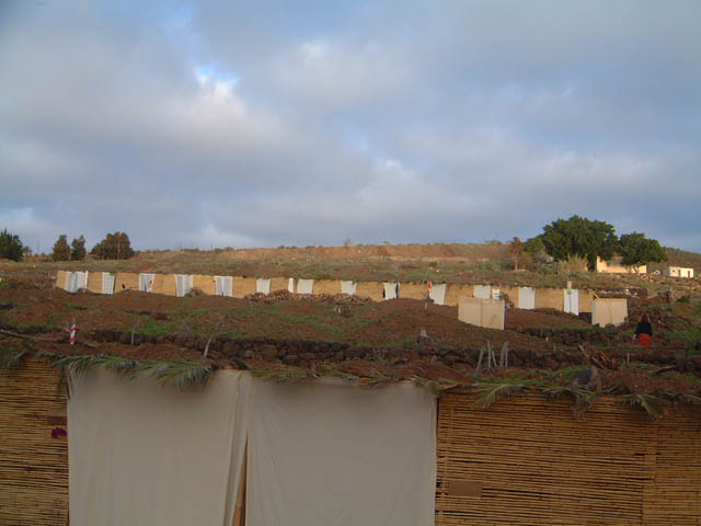 stammetreff115